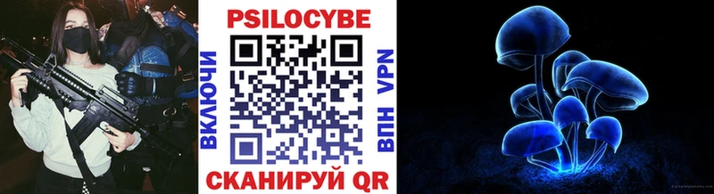 Галлюциногенные грибы Psilocybe  дарк нет как зайти  Суровикино 